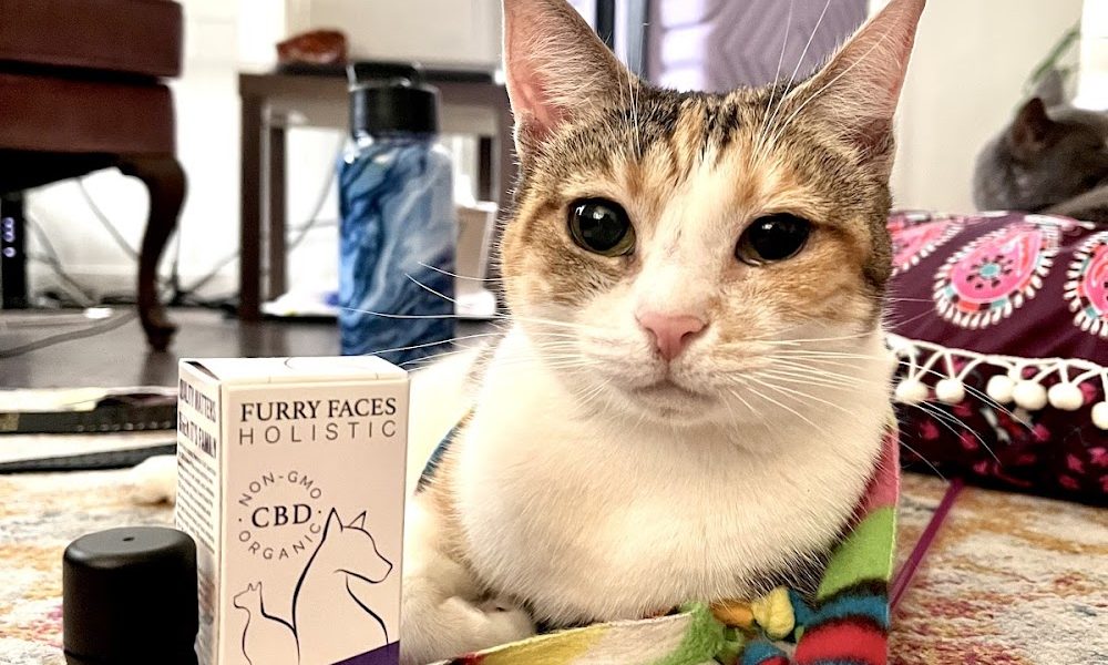 Furry Faces Holistic Pet CBD